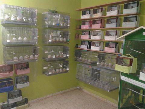 remodelacion.jpg