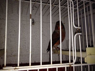 IMG-20131127-WA0002.jpg