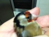 ImageUploadedByTapatalk HD1385847647.338589.jpg