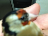 ImageUploadedByTapatalk HD1385847657.096614.jpg