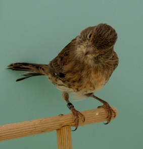 DSCN1559.jpg