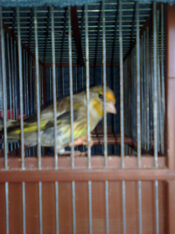 Imagen0058.jpg
