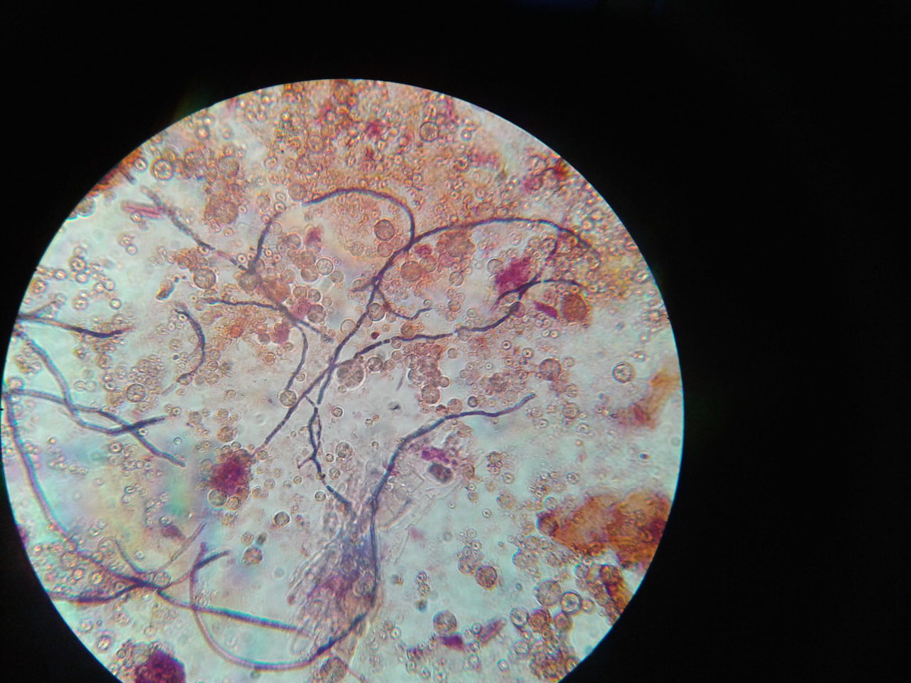 2013-11-29 20.59.50.jpg