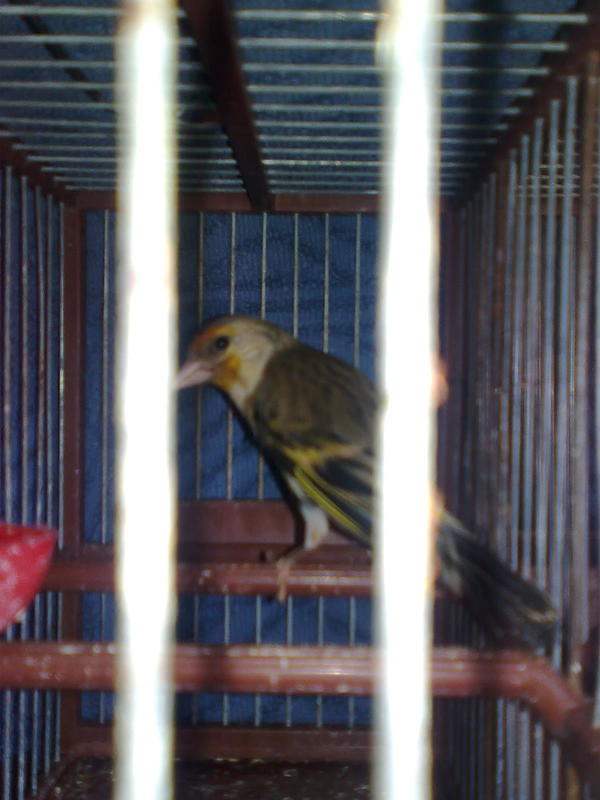 Imagen0059.jpg