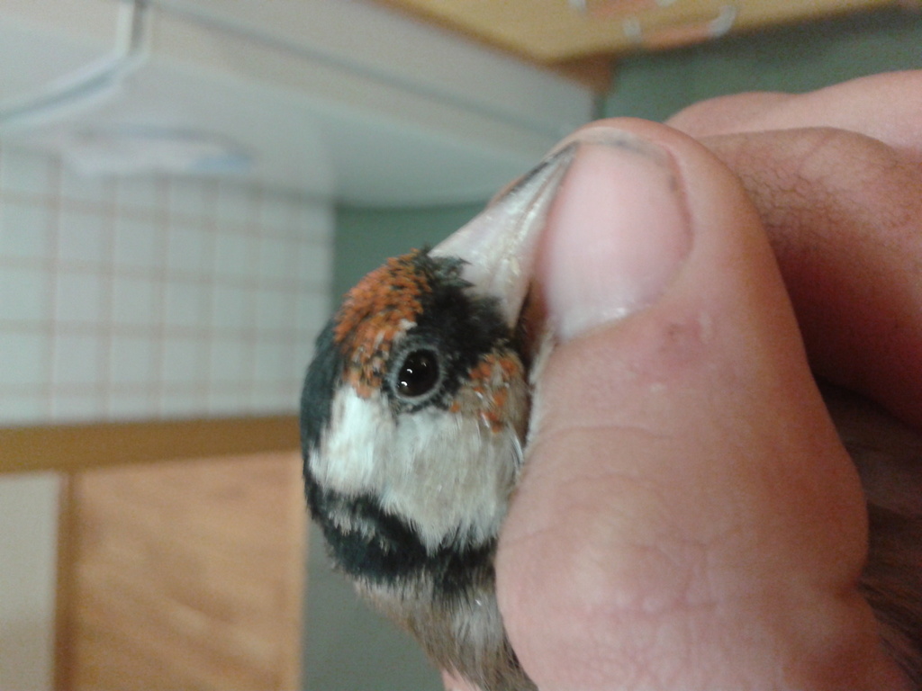 2013-12-02 20.06.56.jpg