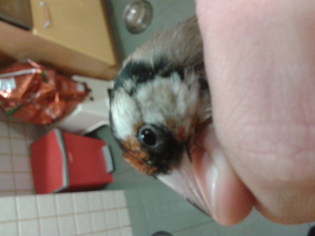 2013-12-02 20.06.48.jpg