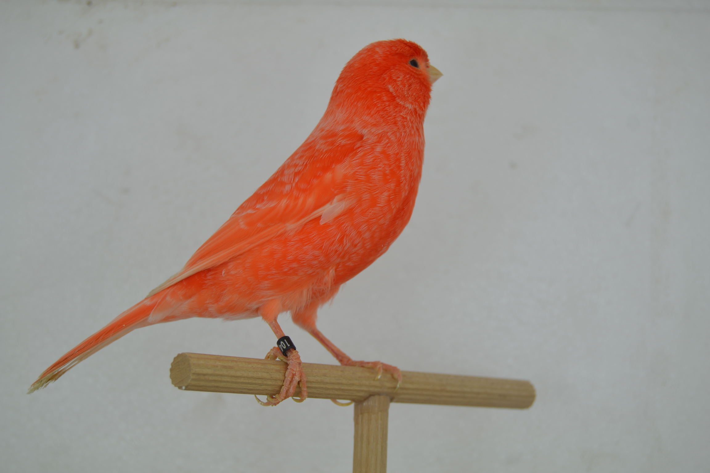DSC_0398.JPG