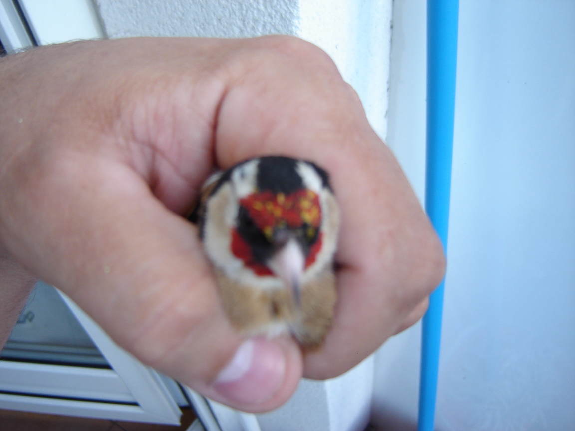 DSC03400.JPG
