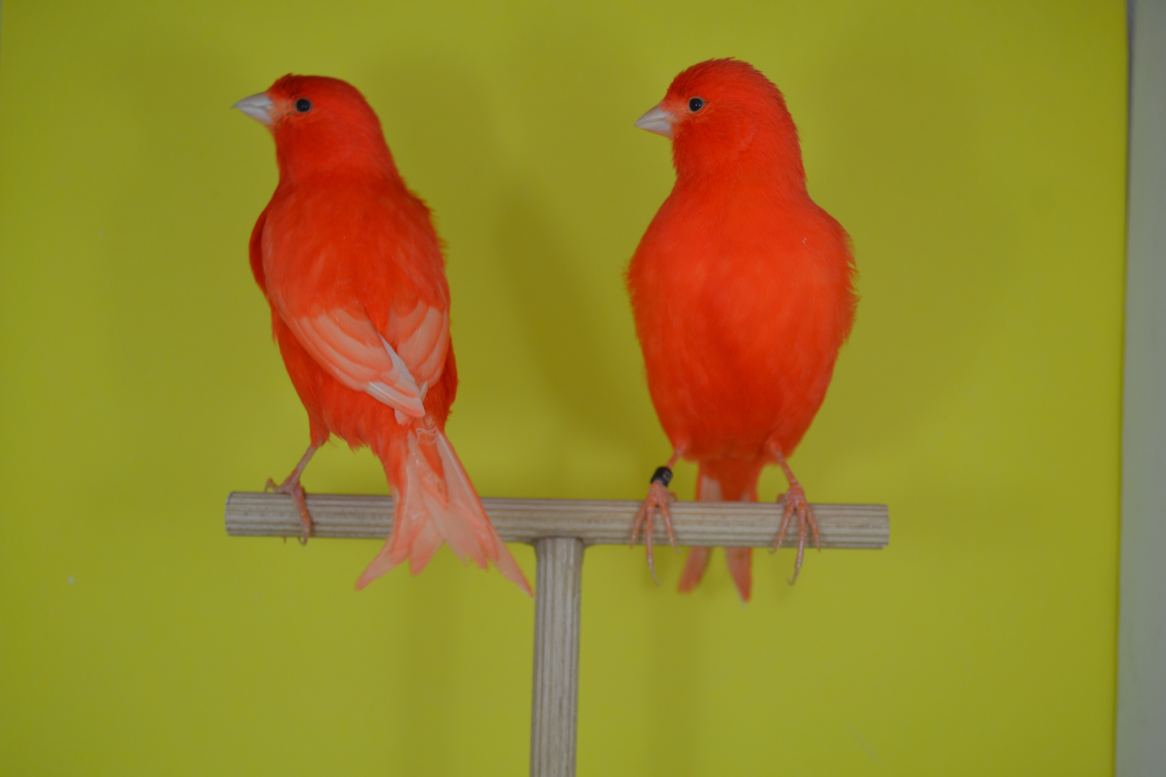 DSC_0449.JPG