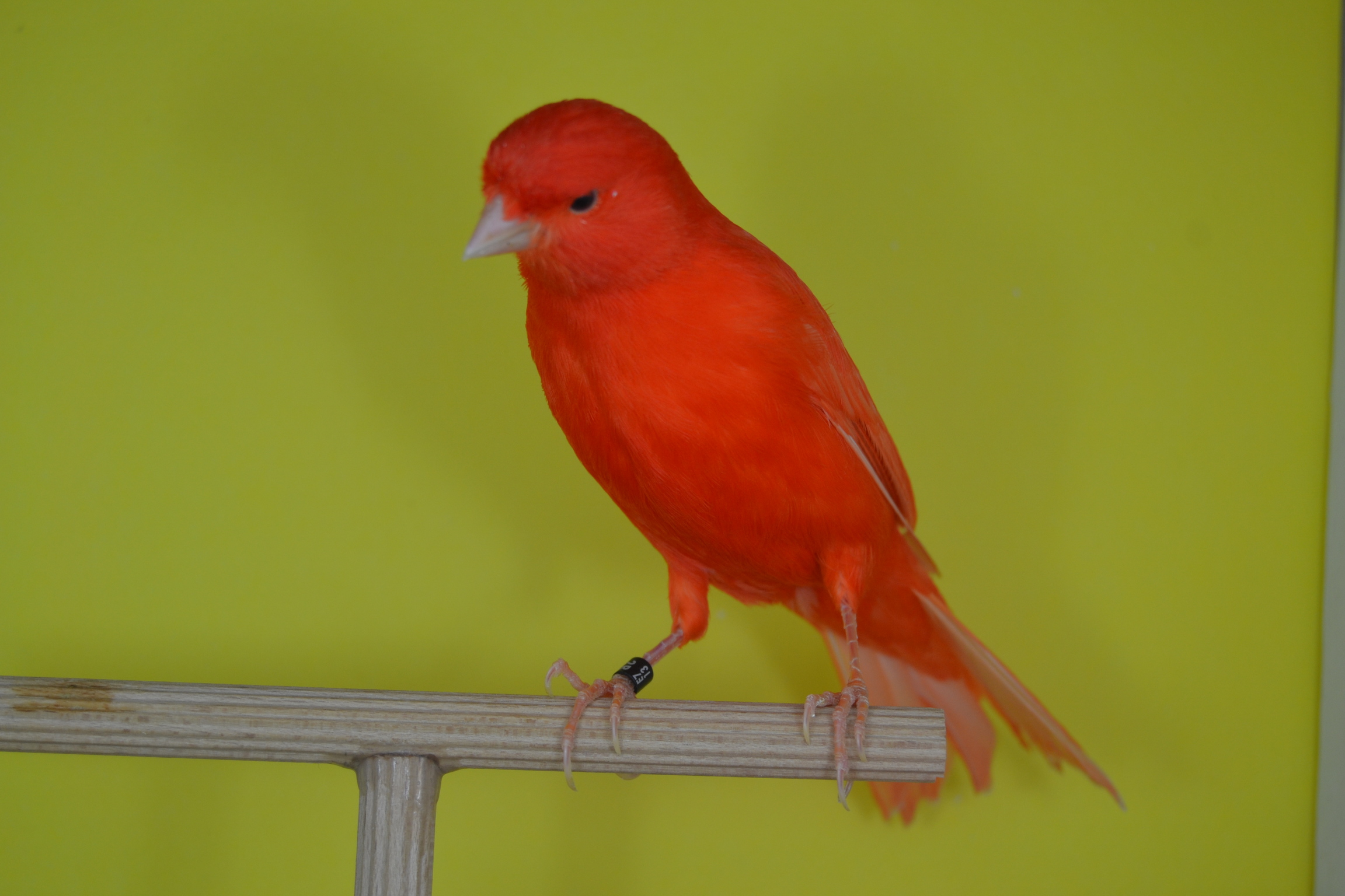 DSC_0487.JPG