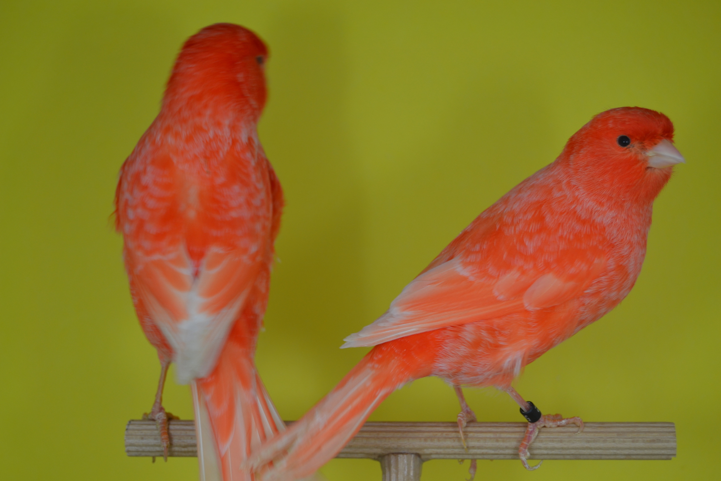 DSC_0465.JPG