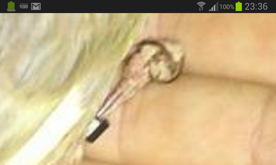 Screenshot_2013-12-05-23-36-04.png