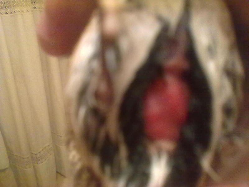 06122013088.jpg