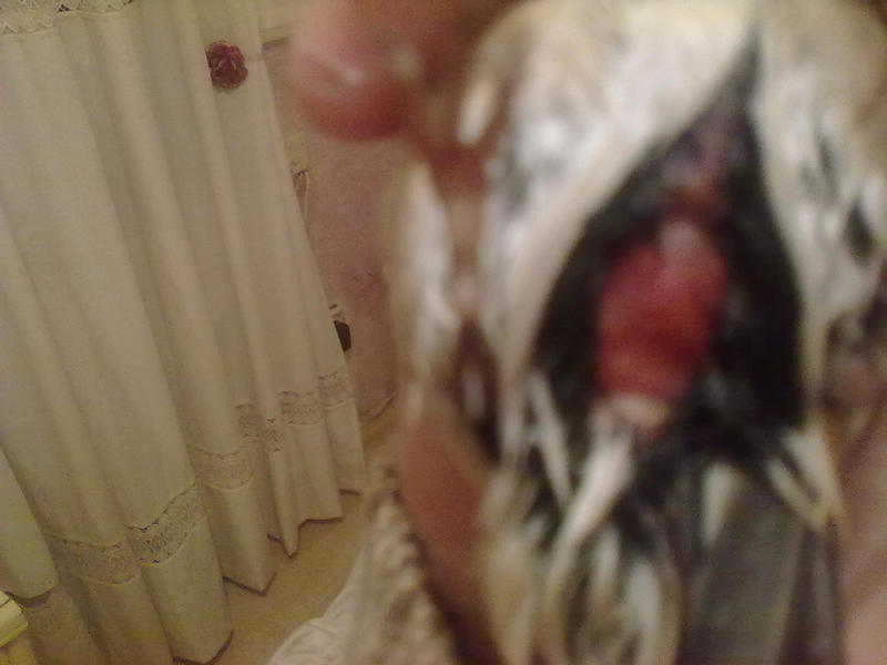 06122013087.jpg