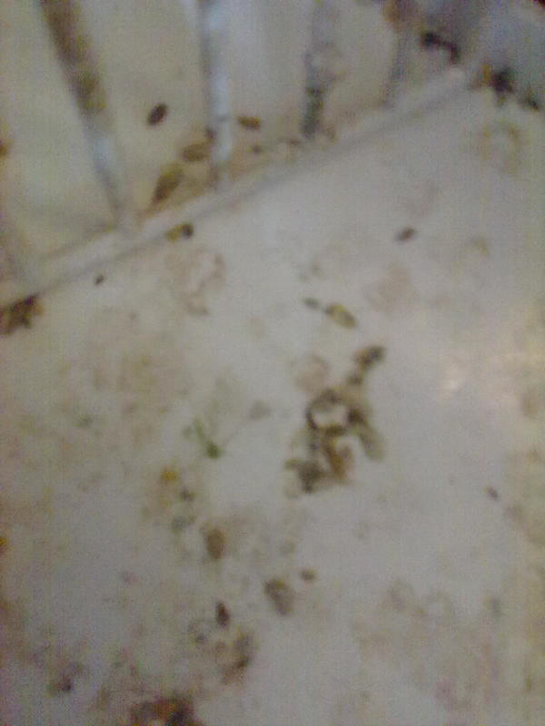 06122013089.jpg