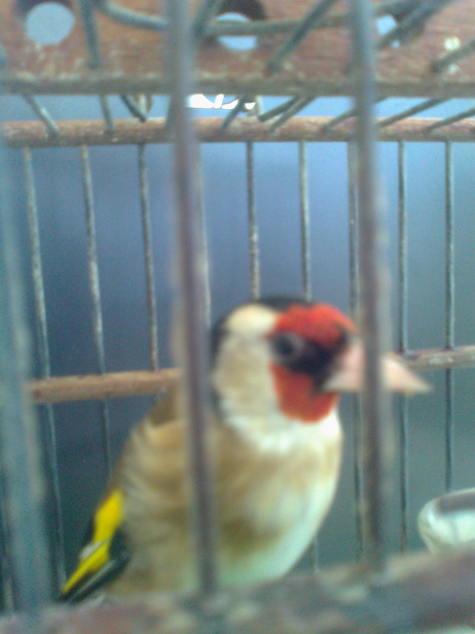 Foto0075.jpg