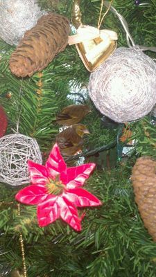 IMG-20131209-WA0006.jpg