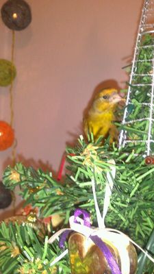 IMG-20131209-WA0004.jpg