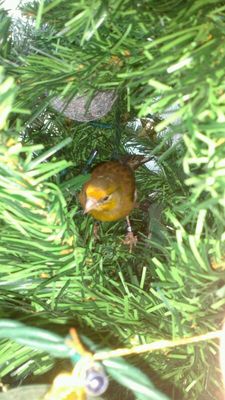 IMG-20131209-WA0005.jpg