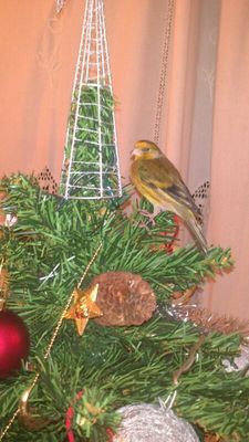 IMG-20131209-WA0008.jpg