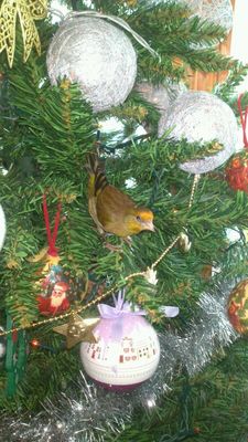 IMG-20131209-WA0010.jpg