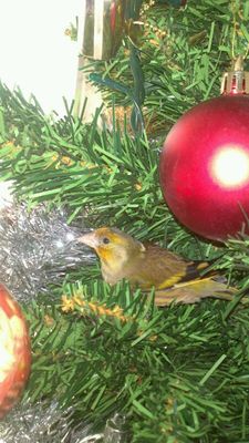 IMG-20131209-WA0011.jpg
