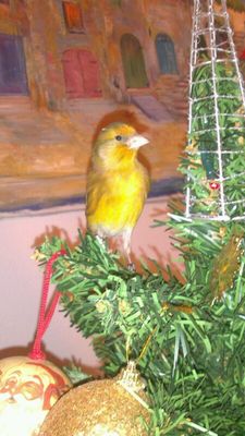 IMG-20131209-WA0013.jpg