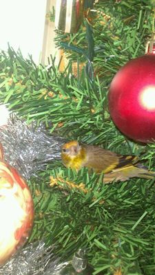 IMG-20131209-WA0012.jpg