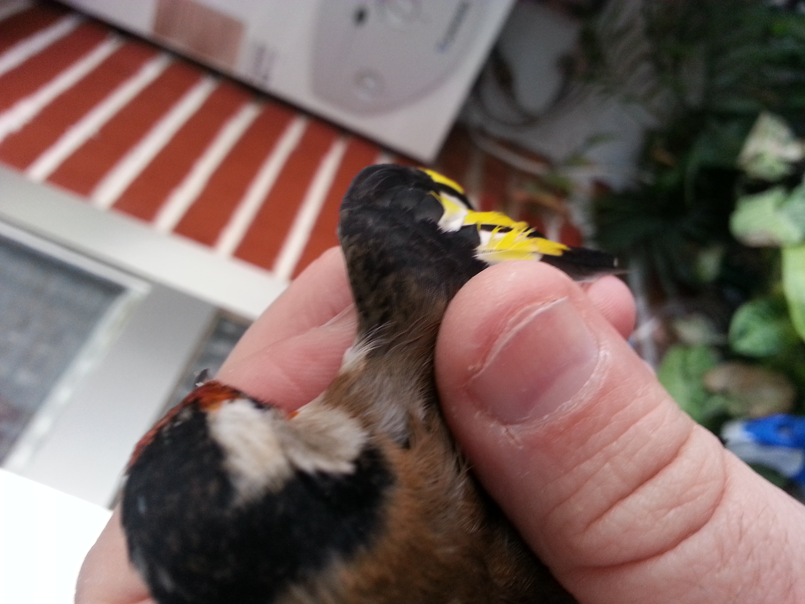 20131210_162620.jpg