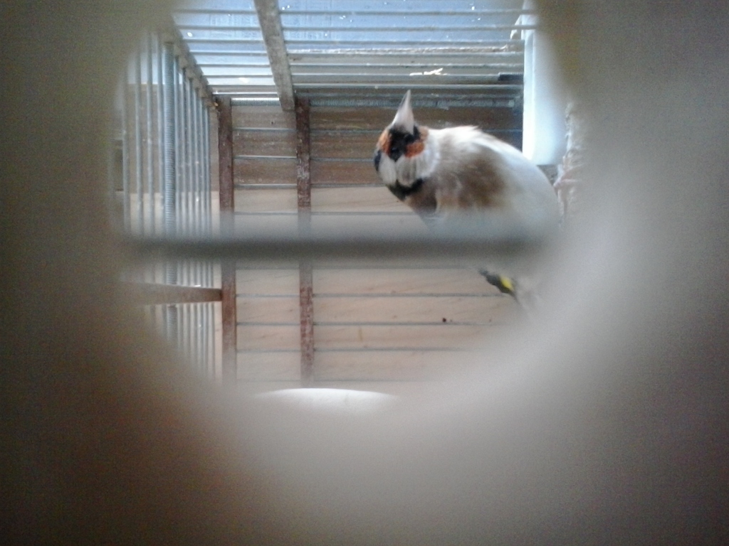 2013-12-08 17.18.15.jpg