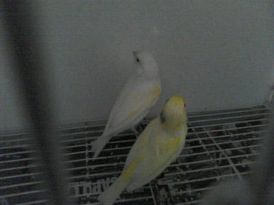 IMG-20131212-WA0000.jpg