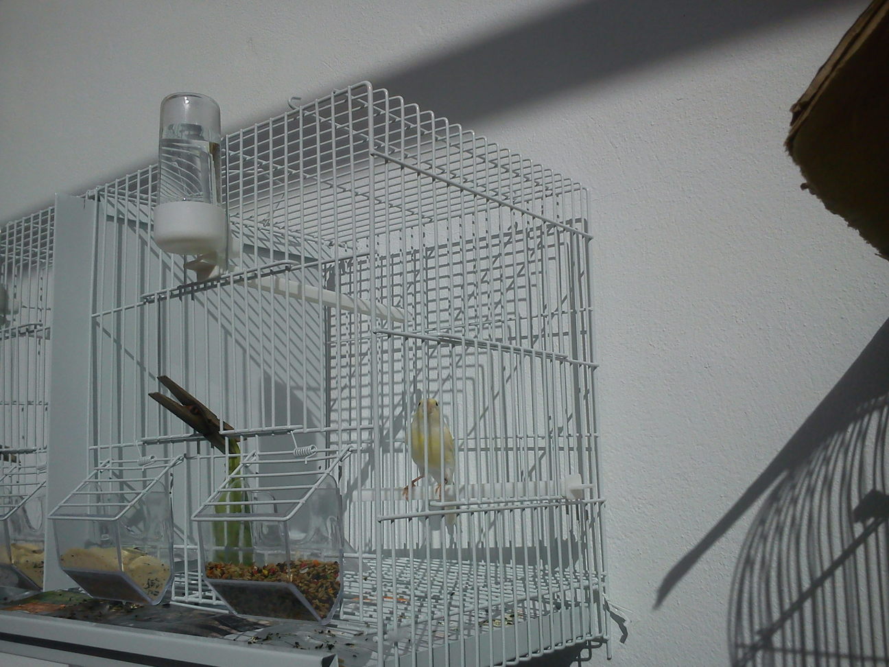 DSC00010.jpg