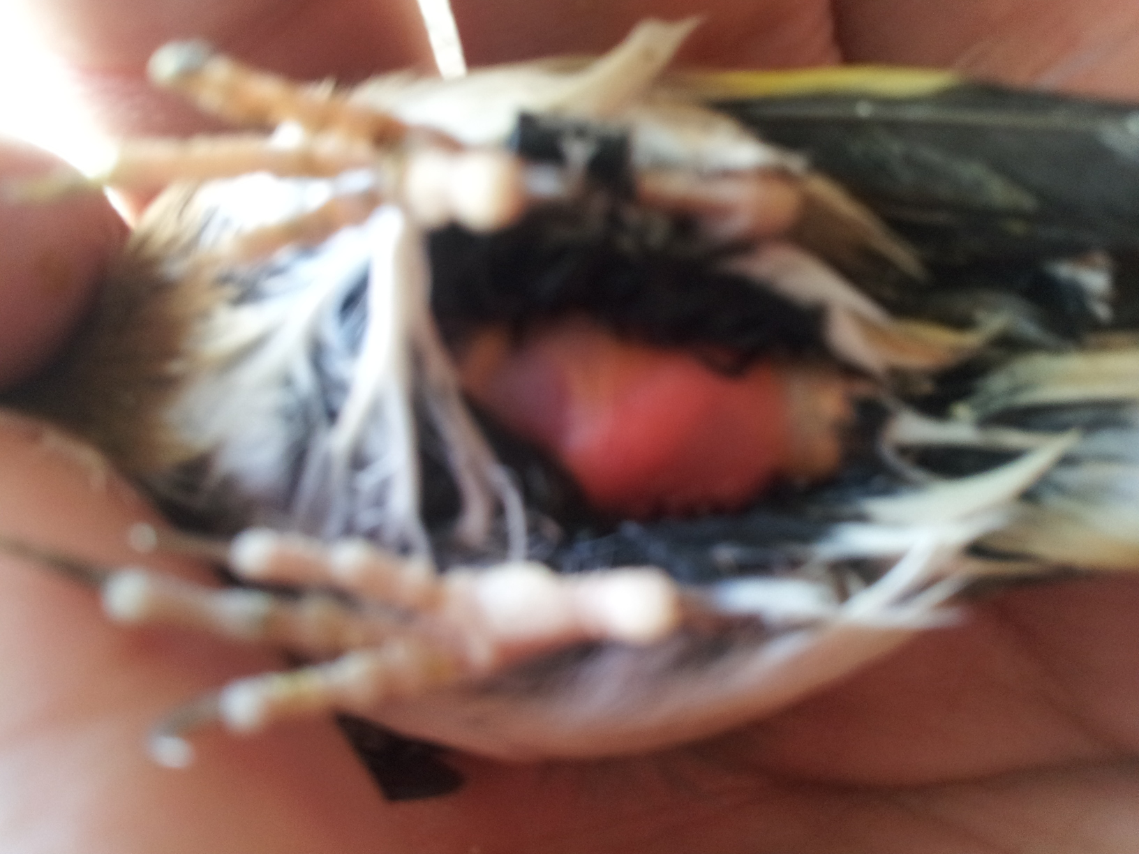 20131212_141455.jpg