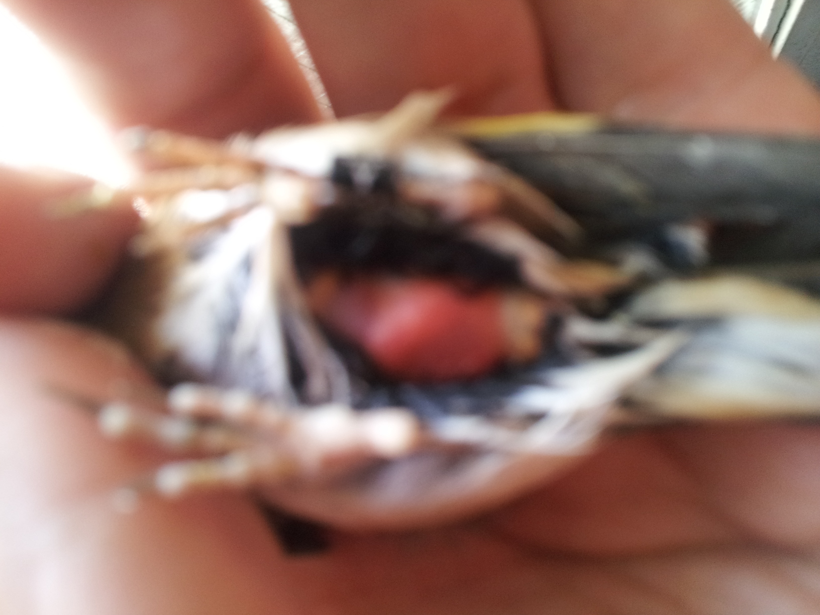 20131212_141446.jpg