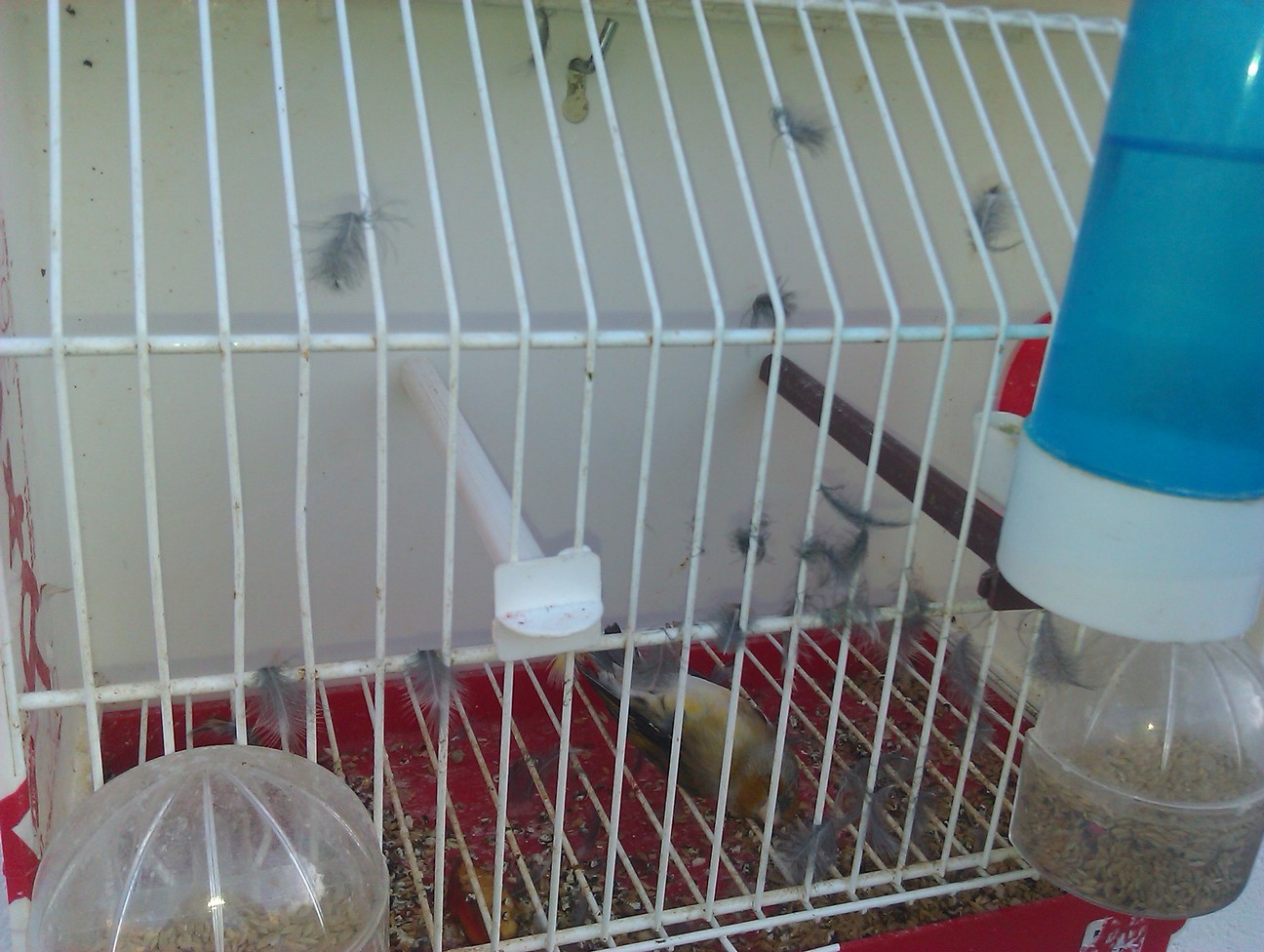 IMAG0383.jpg
