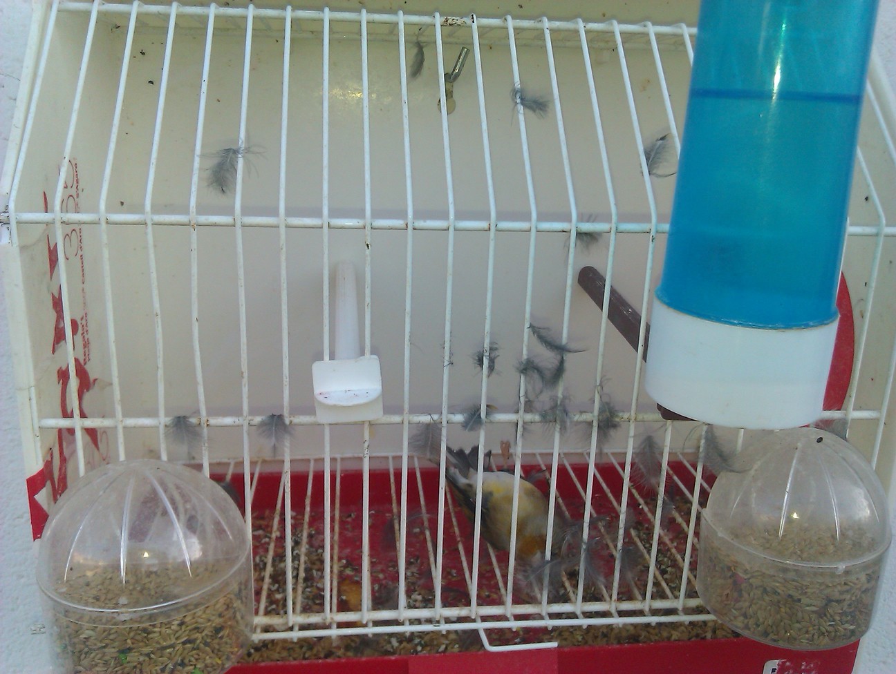 IMAG0384.jpg
