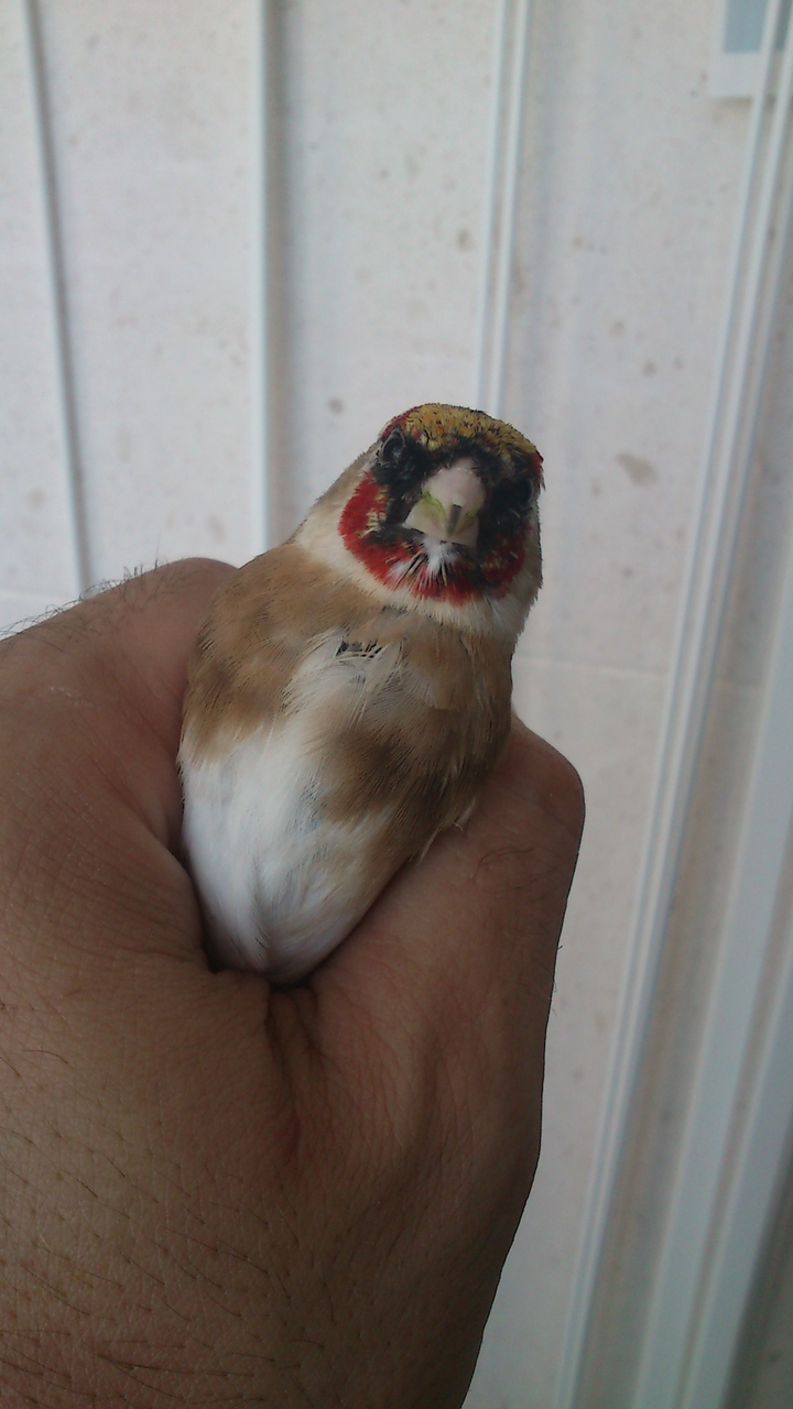 2013-10-01 15.07.26.jpg