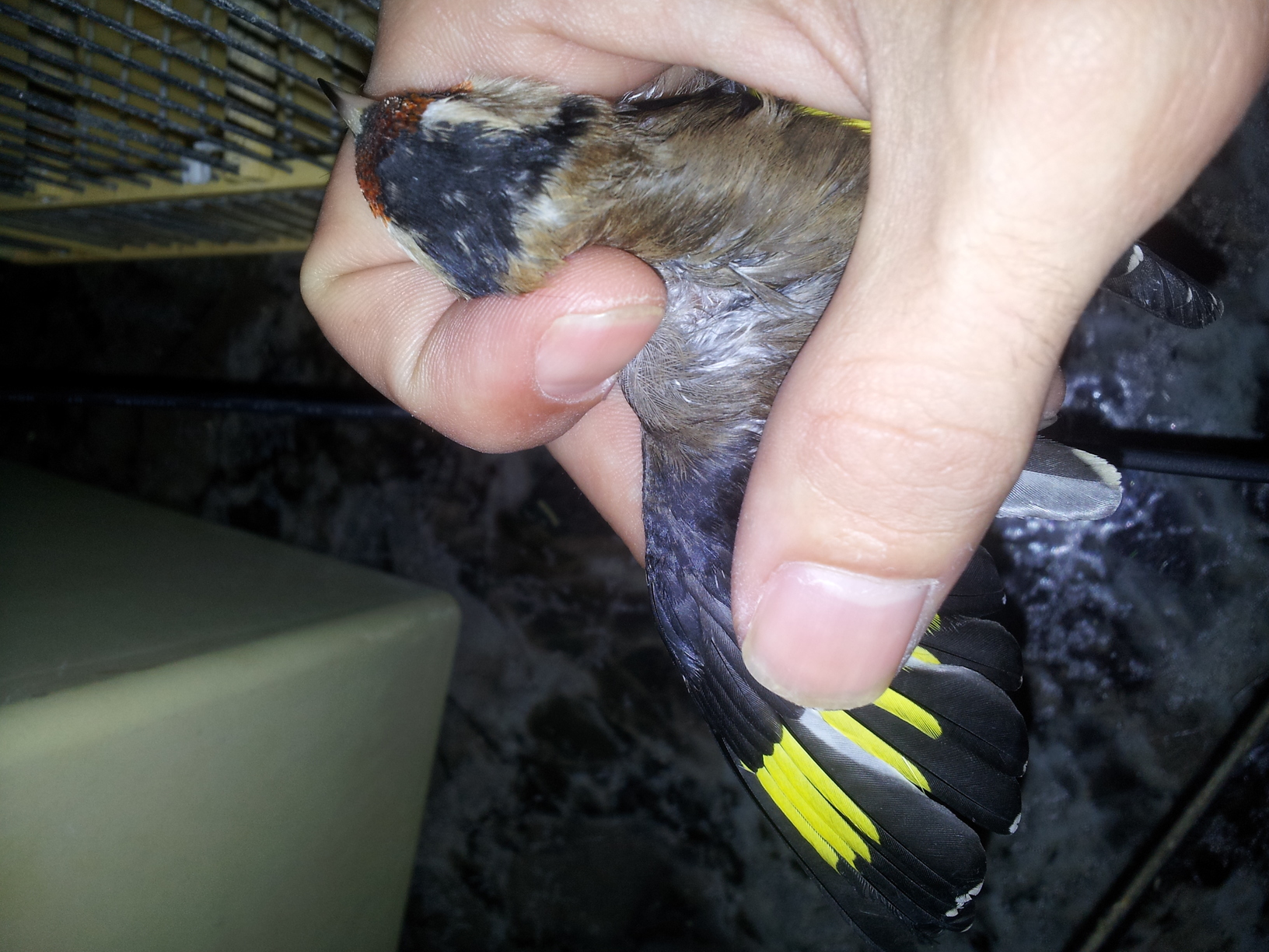 20131214_173307.jpg
