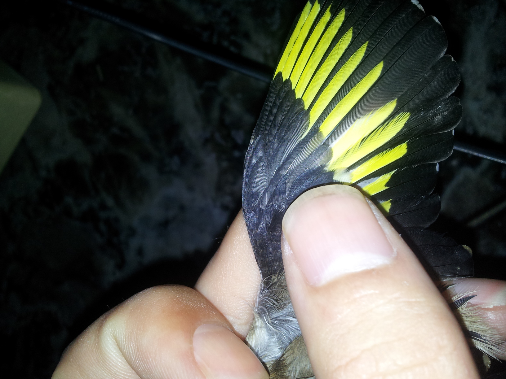20131214_173208.jpg