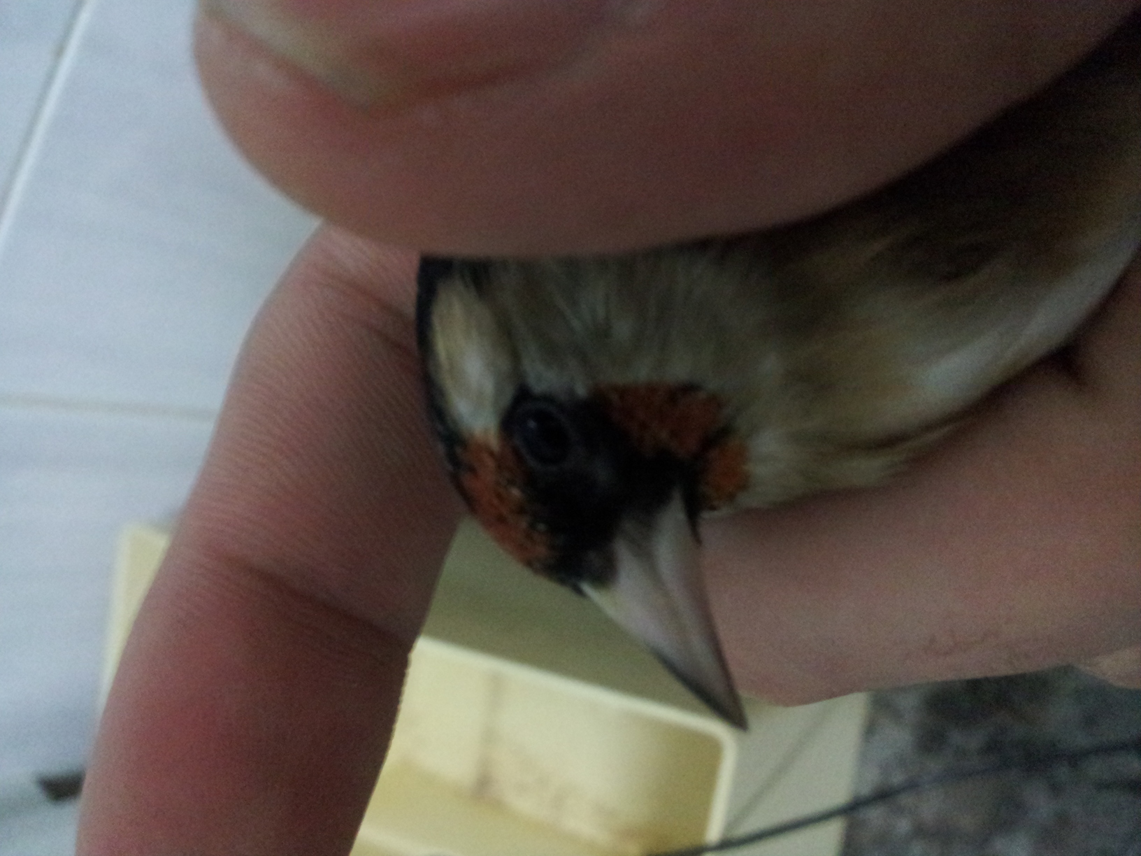 20131214_173123.jpg