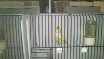 IMG_376371793075572.jpeg