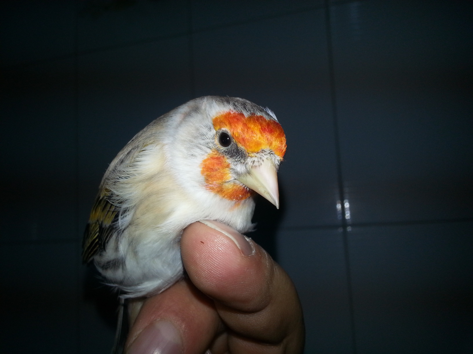 20131122_132038.jpg
