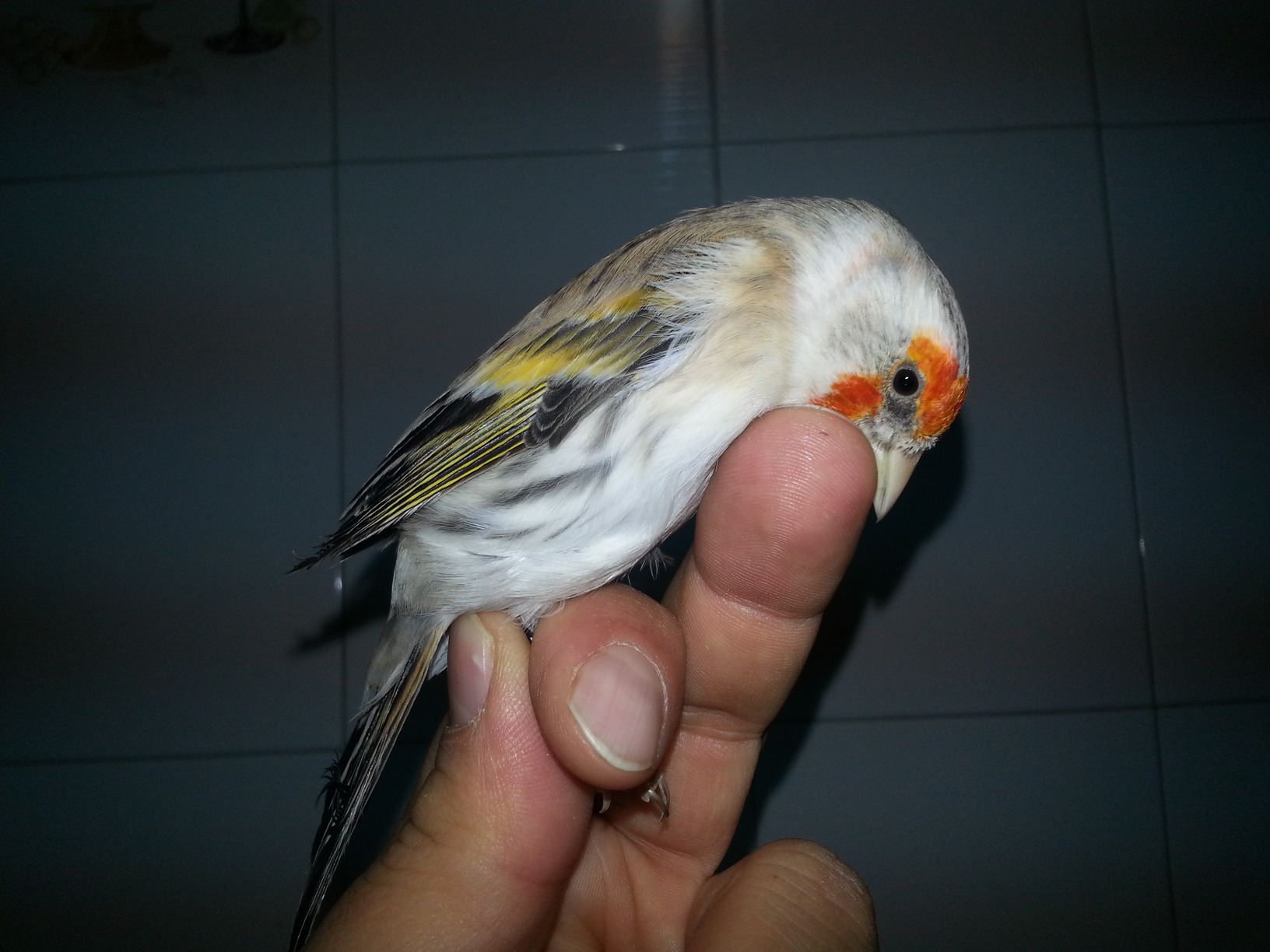 20131122_132032.jpg