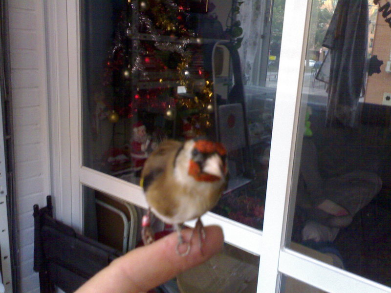 28122010383.jpg
