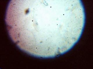 Imagen 004.jpg
