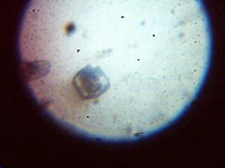 Imagen 014.jpg