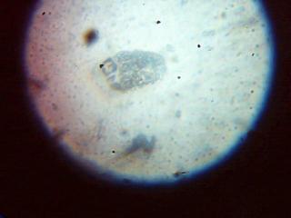 Imagen 015.jpg