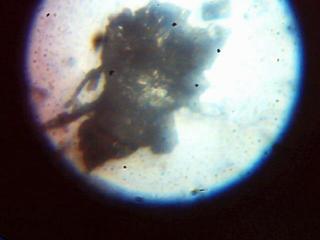 Imagen 016.jpg