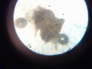 Imagen 029.jpg