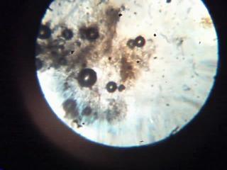 Imagen 035.jpg